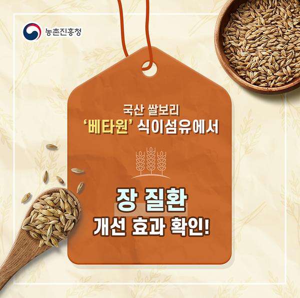 국산 쌀보리 '베타원' 식이섬유에서 장 질환 개선효과 확인 썸네일