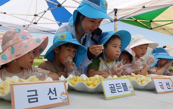 어린이 초청 감자 수확체험 행사