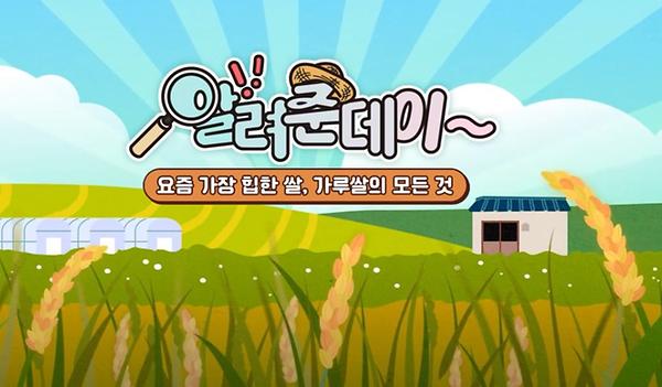 요즘 가장 힙한 쌀, 가루쌀의 모든 것 썸네일