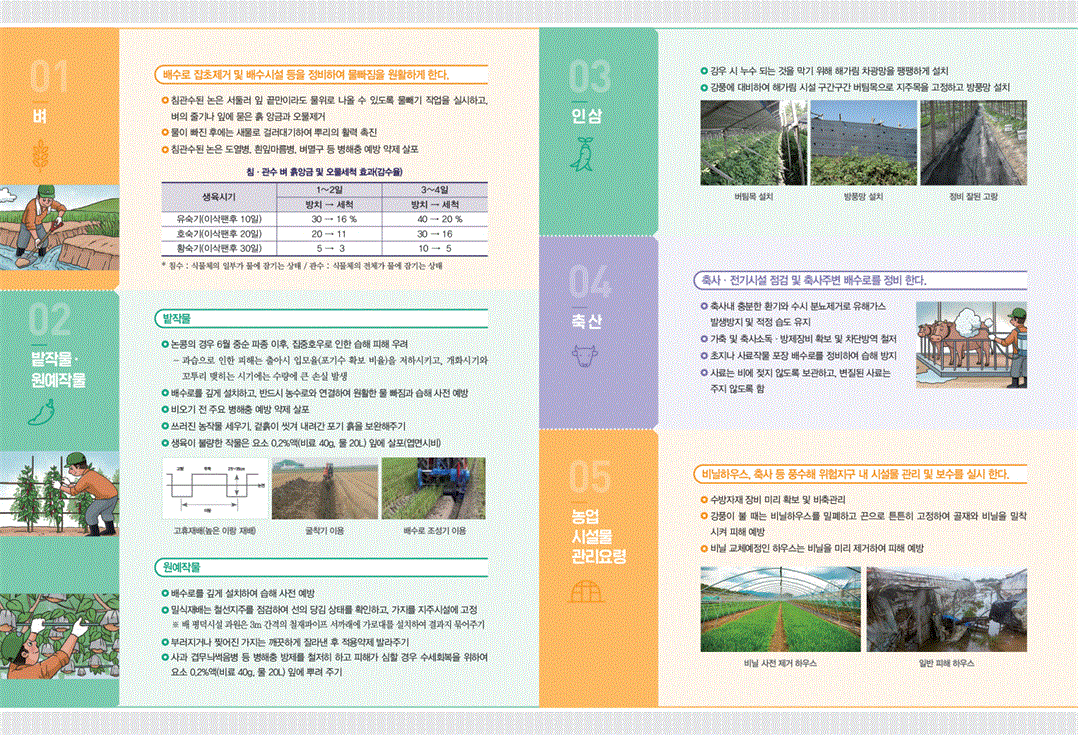 여름철 집중호우· 태풍대비 농작물 및 농업시설물 안전관리요령2