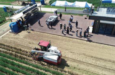 Smart Agriculture Testbed