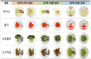Food provision guidelines for seniors