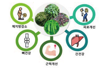 Complex functional materials from domestic agri-food resources