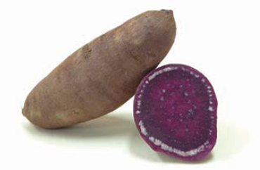 Anthocyanin-rich sweet potato Bodami