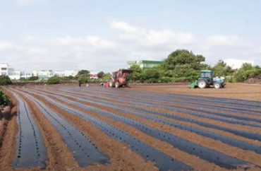 Peanut Udo Ole-1 mechanical sowing demonstration