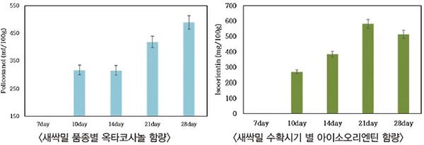 품종별 옥타코사놀 함량, 수확시기 별 아이소오리엔틴 함량