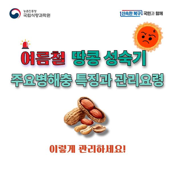 여름철 땅콩 성숙기 주요병해충 특징과 관리요령 썸네일