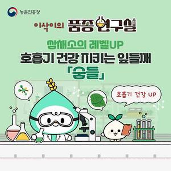 이제 숨들하세요! 썸네일