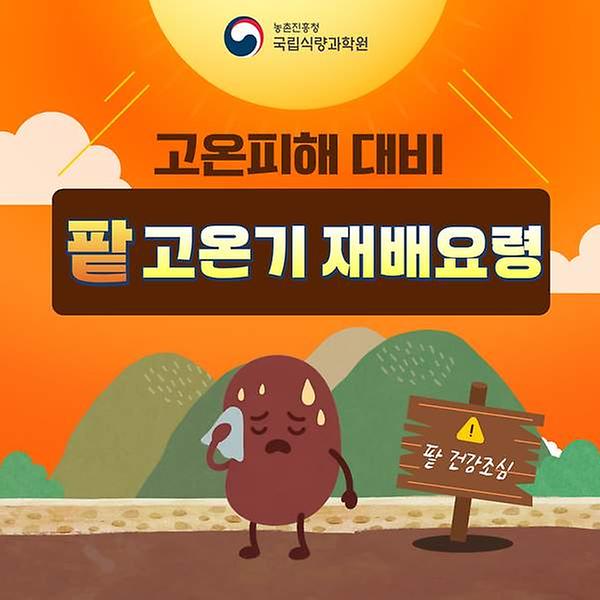 고온피해 대비 팥 고온기 재배요령 썸네일