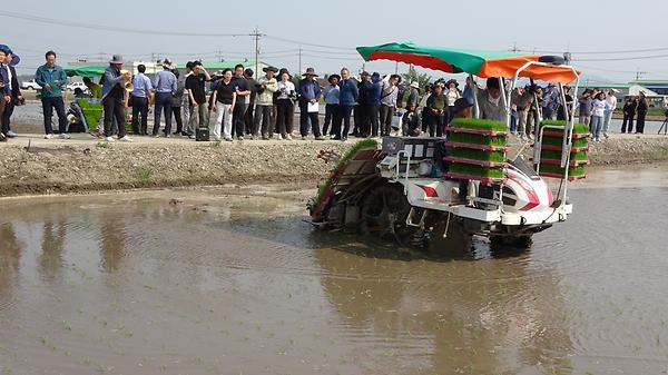 벼 마른논 써레질 이앙 재배기술 현장연시회 썸네일